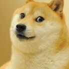 immortal_doge