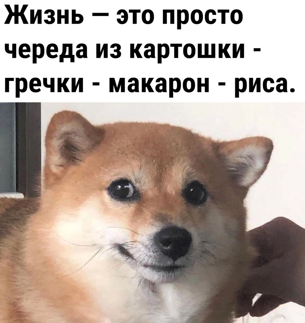 hlEd2CHau0U.jpg.5a0adfb3ac310602f13e1fb012c3264a.jpg
