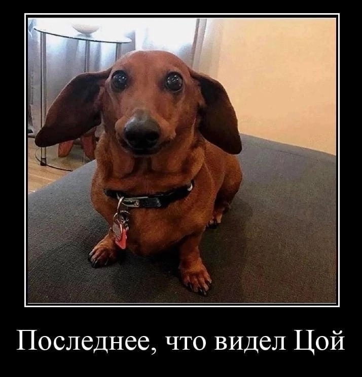 Чича